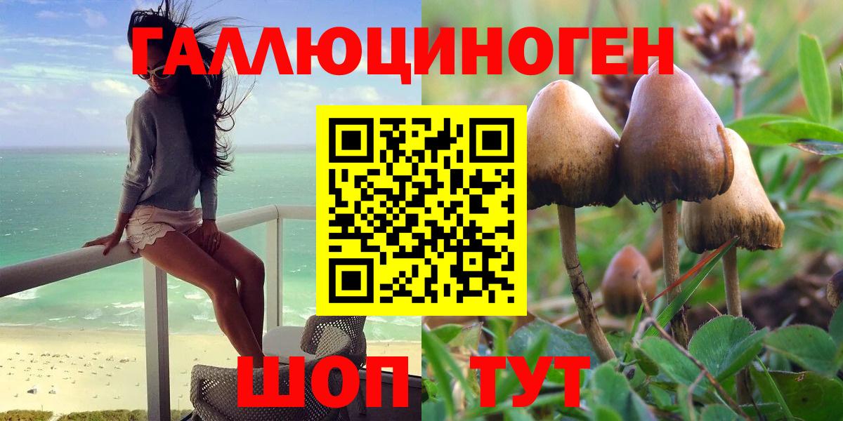 Краснокаменск  Галлюциногенные грибы Psilocybine cubensis  Вход с VPN 